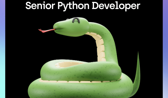 Senior Python Developer