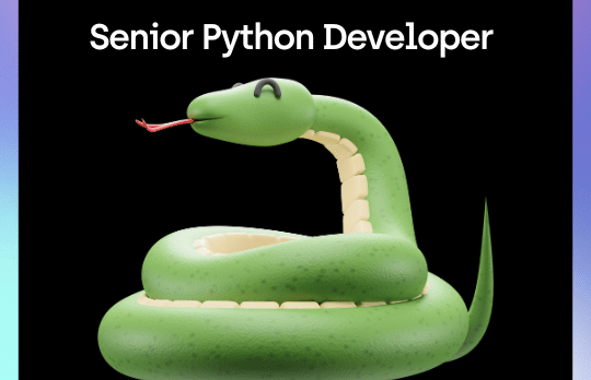 Senior Python Developer