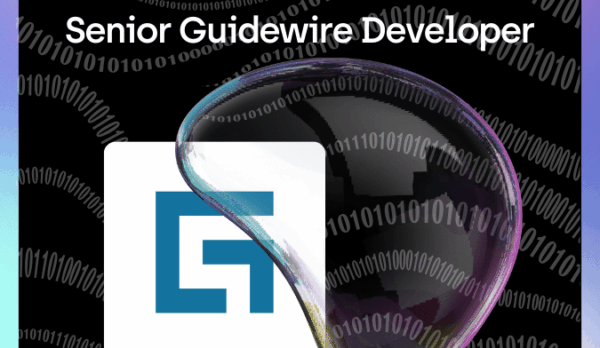 Senior Guidewire Developer