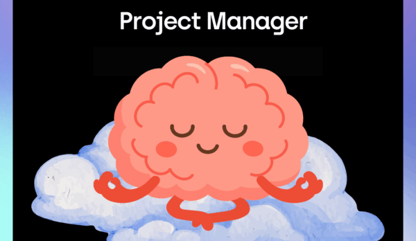 Project Manager Project Manager