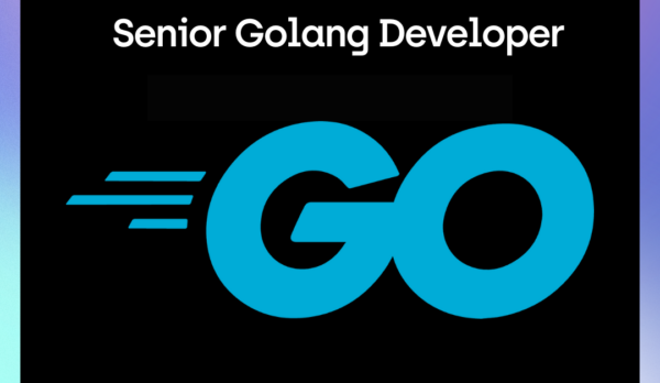 Senior Golang Developer Senior Golang Developer