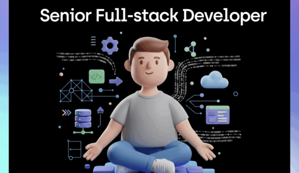 Senior Full-stack Developer
