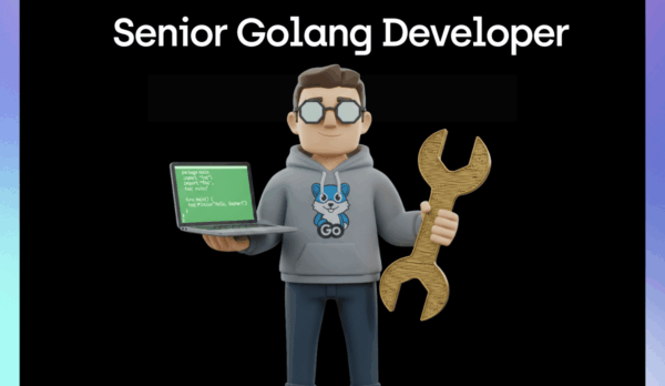 Senior Golang Developer Senior Golang Developer